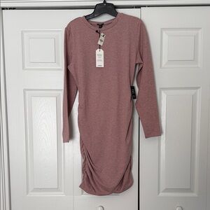 Express Dusty Rose Long Sleeve Dress